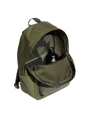 adidas Rucksack in Oliv