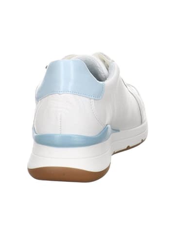 ara Sneaker für Damen in weiß in weiß