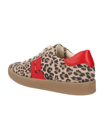 Paul Green Sportliche Schnürschuhe in Animal