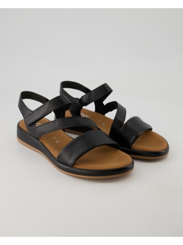 Gabor Comfort Sandalen in Schwarz