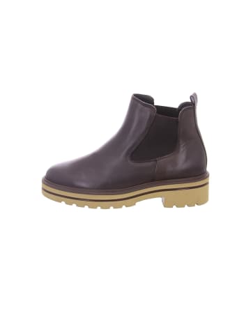Paul Green Stiefeletten für Damen in braun