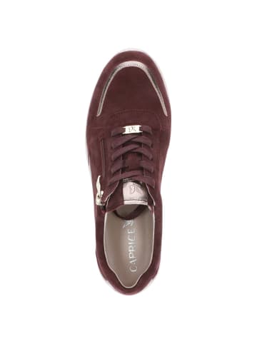 Caprice Halbschuh in BORDEAUX COMB
