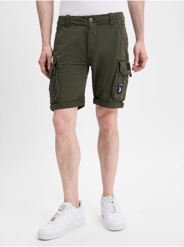 Alpha Industries Shorts in khaki - 0008