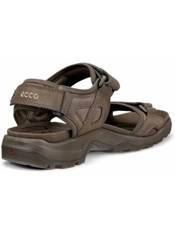 Ecco Outdoorsandalen für Herren in dunkel-braun