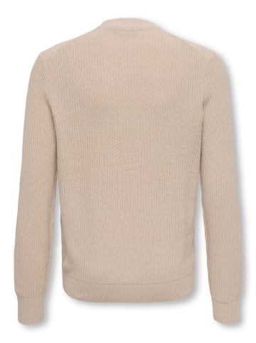 ONLY & SONS Junior Gestricktes Oberteil in Silver Lining
