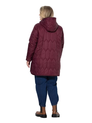 Ulla Popken Steppjacke in aubergine