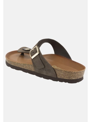 ROHDE Zehenstegsandalen Alba in Mocca
