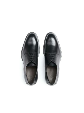 LLOYD Business Schuhe für Herren in schwarz