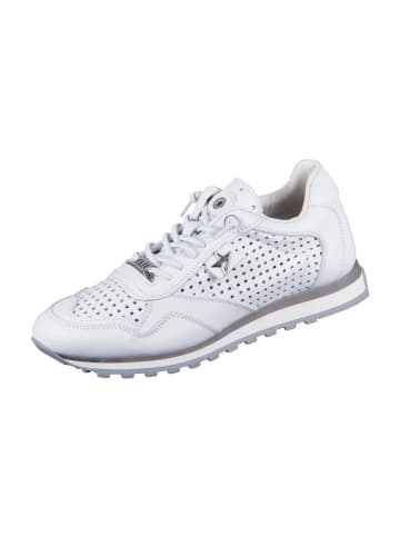 Cetti Sneaker Low in Weiß
