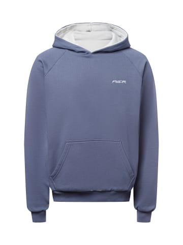 PEGADOR Sweatshirt Moolt in grau - 0001