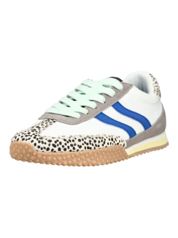 Gioseppo Sneaker Mehrfarbig