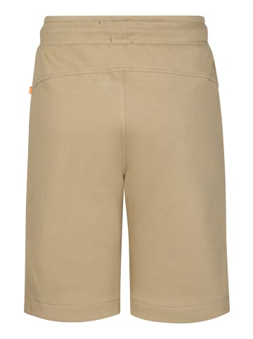 Petrol Industries Jersey-Jogging-Shorts Norte in Braun