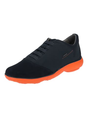 Geox Sneaker in Navy/Orange