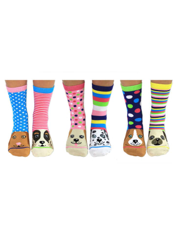 United Oddsocks Socken 3er Pack in Pawsome