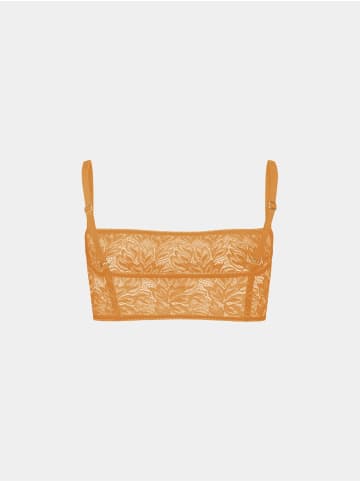 Erlich Textil  ICONIC LACE BANDEAU BRALETTE in aprikose