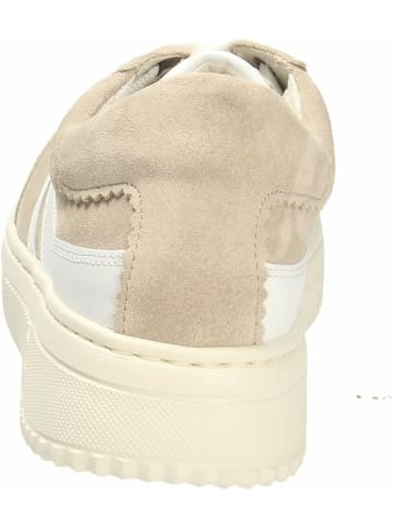 Gabor Sneaker für Damen in beige