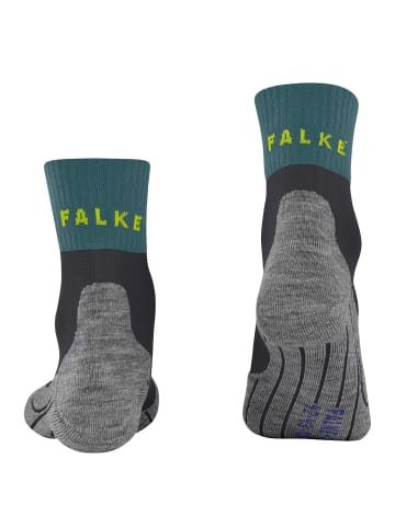 Falke Socken 1er Pack in Schwarz/Grau/Grün