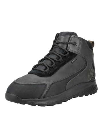Geox Stiefelette in Schwarz