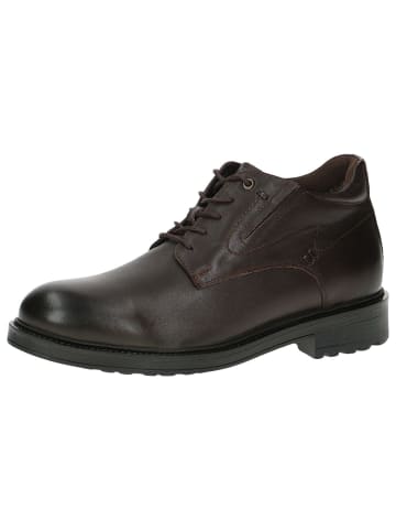 Caprice Halbschuh in DK BROWN NAPPA