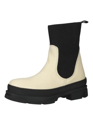 Steve Madden Stiefelette Weiß/Schwarz