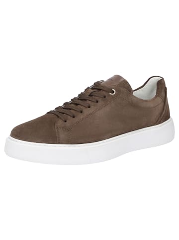 Sioux Sneaker Tils sneaker 003 in braun