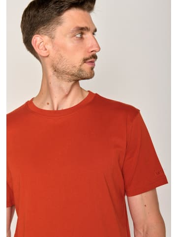 GreenBomb Fusion Basic in Lehm rot