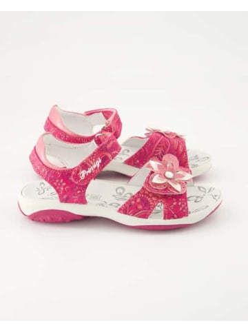 Primigi Sandalen in Pink