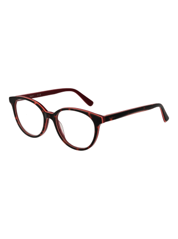 Pepe Jeans Frauen Optische Fassungen Rund Braun