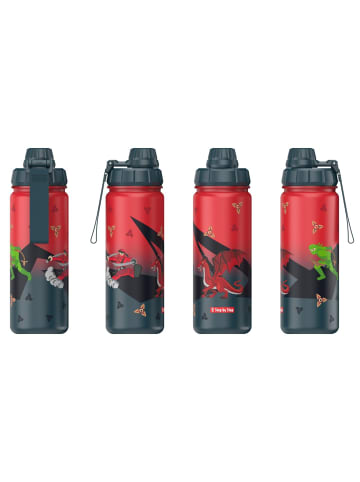 Step by Step Isolierte Edelstahl-Trinkflasche in Warrior