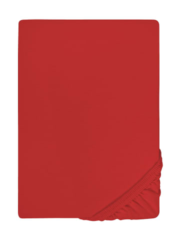 Biberna Spannbetttuch Jersey-Elastic in rot