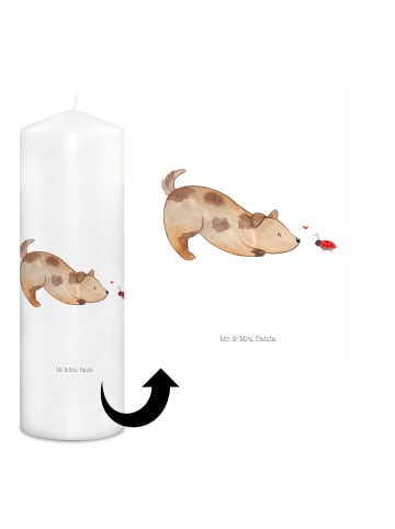 Mr. & Mrs. Panda Wachskerze Hund Marienkäfer ohne Spruch in Weiß