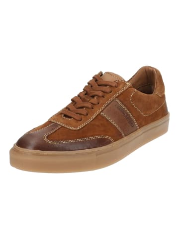 Camel Active Sneaker in Tan