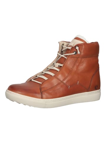 Cosmos Comfort Sneaker in Cognac