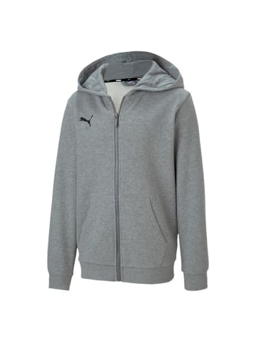 Puma Sweatshirt teamGOAL 23 Casuals Hooded Jacket Jr  in grau