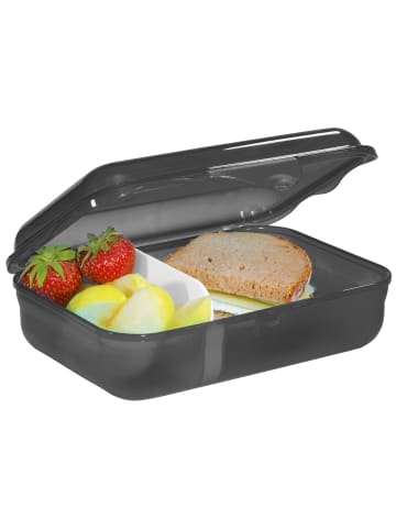 Step by Step Brotdose 18 cm in wild t-rex taro