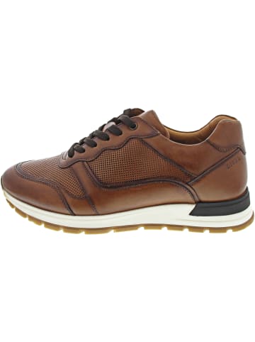 DIGEL Super Sneaker low Braun