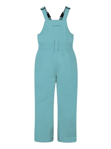 Protest " PRTNeutroi TD in Glacial Blue