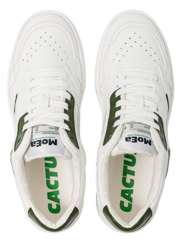MoEa MoEa Turnschuhe in white/green