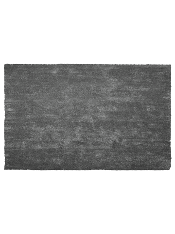 Beliani Shaggy DEMRE in Grau - (W) 200 x (H) 2 x (L) 300 cm