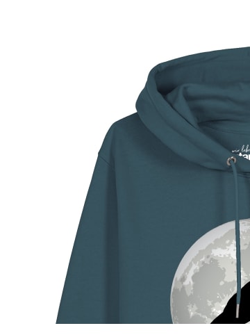 wat? Apparel Sweatshirt Flying TRex in Petrol