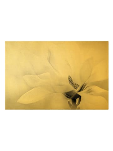WALLART Leinwandbild Gold - Zarte Magnolienblüte schwarzweiß in Schwarz-Weiß