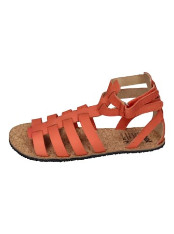 KOEL Sandalen AURELIA NAPPA  in orange