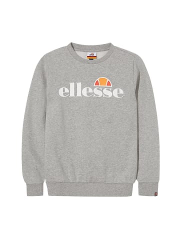 ellesse Sweatshirt in Grau