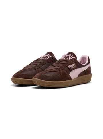 Puma Sneaker "Palermo Vintage Update" in Braun