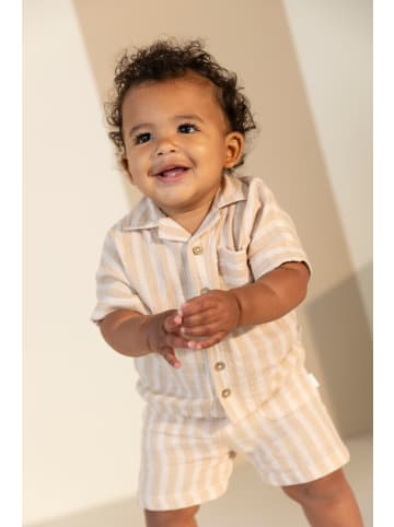 Noppies Hemd Stripe in Irish Cream