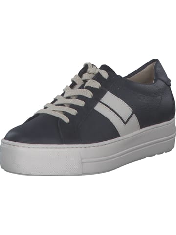 Paul Green Schnürschuhe in space/ivory