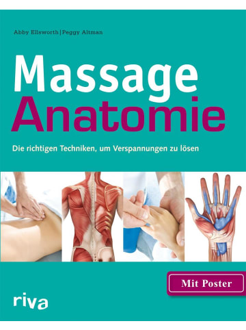 riva Massage-Anatomie | Die richtigen Techniken, um Verspannungen zu lösen