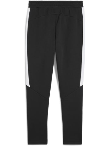 Puma Sporthose "TeamEVOSTRIPE Pants" in Schwarz