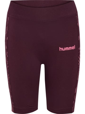 Hummel Kinder Short "Warmup Short Tights" in Rot