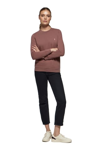 Polo Club SWEATSHIRT in Rosa-Taupe